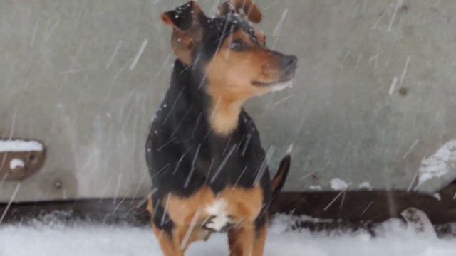 Вдохновение.... Как обрести вдохновение? смотреть онлайн