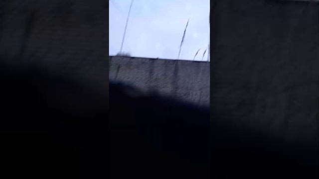 огромнейший кусок,и немного о себе.graffity patryle part #7 смотреть онлайн