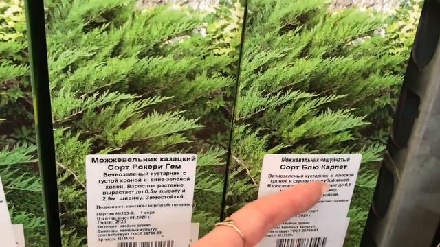 СтройИстории