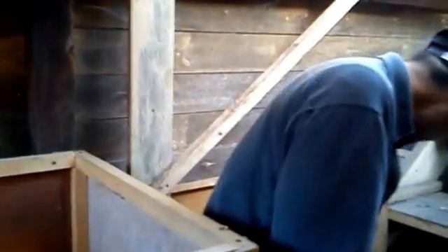 выращивание бройлеров в домашних условиях, часть 1(10дней) смотреть онлайн