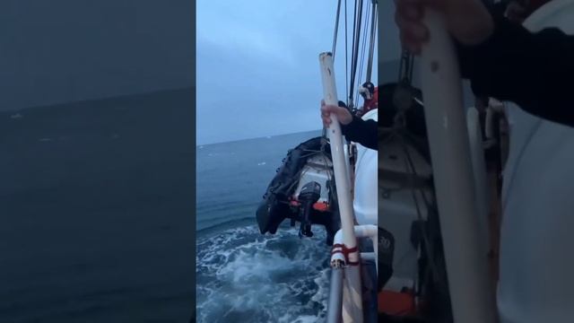 Подписывайтесь на канал/ставьте лайки #поднимаемнастроение