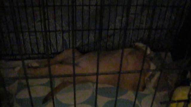 Славка спит ) смотреть онлайн