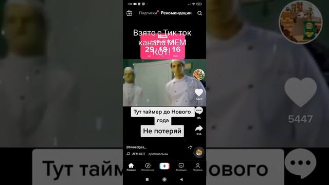 Таймер до нового года взятого с канала МЕМ КОТ смотреть онлайн