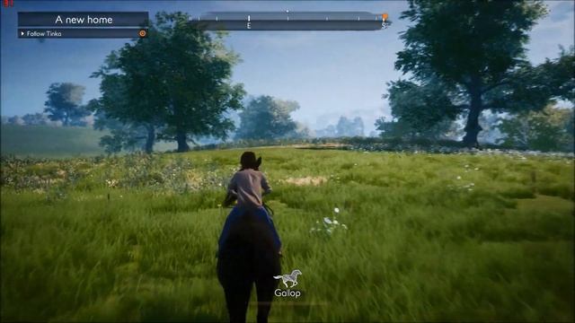 Windstorm / Ostwind - Ari's Arrival | 960M 4GB