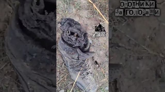 Чей туфля? В рот ему ноги да и не только их смотреть онлайн