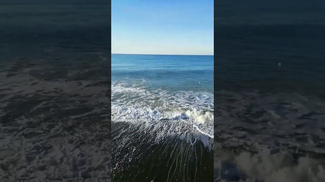 24.02.23 Погода налаживается. Солнце, море, ветер #погодалазаревское #сочи #погодавсочи #лазаревское смотреть онлайн