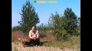 Чабрец - лечебные свойства, противопоказания, рецепты народной медицины, применение чабреца