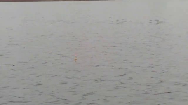 Рыбалка на живца с попловочной удочкой на Селигере/Часть вторая смотреть онлайн