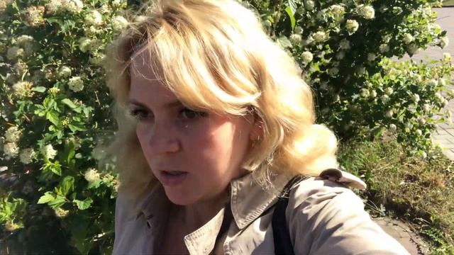 VLOG держим путь в другой город #блог #многодетные смотреть онлайн