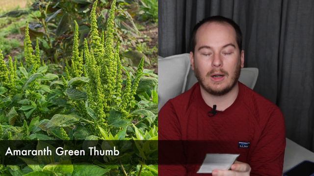 I Ordered MORE Seeds 🤪🌱| The Southerner's Northern Garden смотреть онлайн