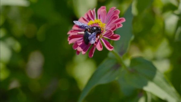 Triangle Sun - Beautiful (Самое красивое видео • Посмотрите обязательно)