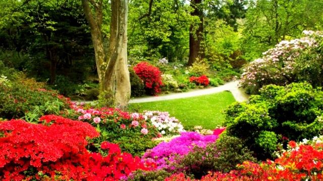 Воссоединение со Стихией Земли. Практика.