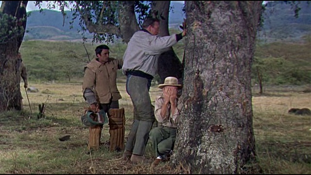 как ловят обезьян