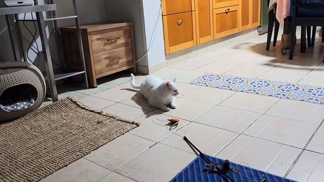 Страшила, враги пришли! Наш с ним позывной 😁 смотреть онлайн