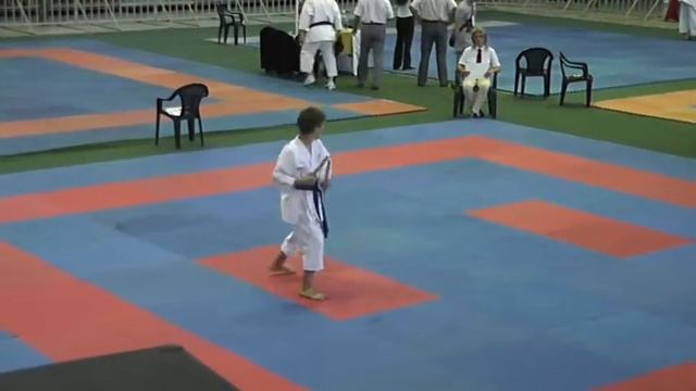 финал 5-го кубка мира по карате и кобудо смотреть онлайн