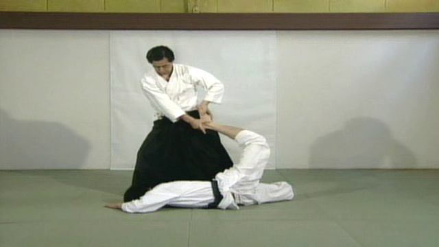 Дайто рю айкидзюцу. Уровень айкидзюдзюцу