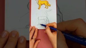 рисую котов воителей милли #рисуюкотоввоителей #котывоители