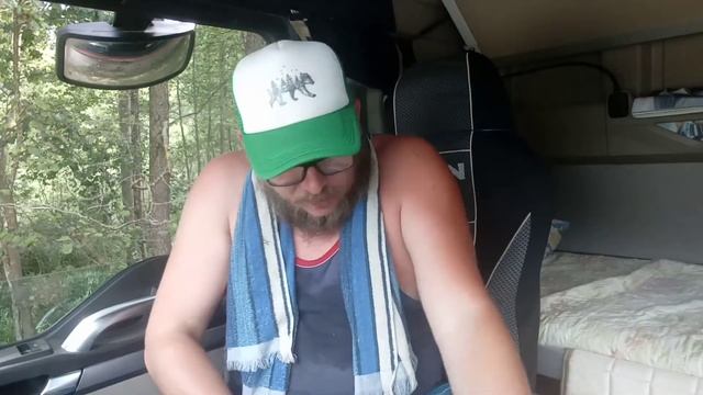 Еду из Волгограда,нападение оводов ,укусила пчела смотреть онлайн