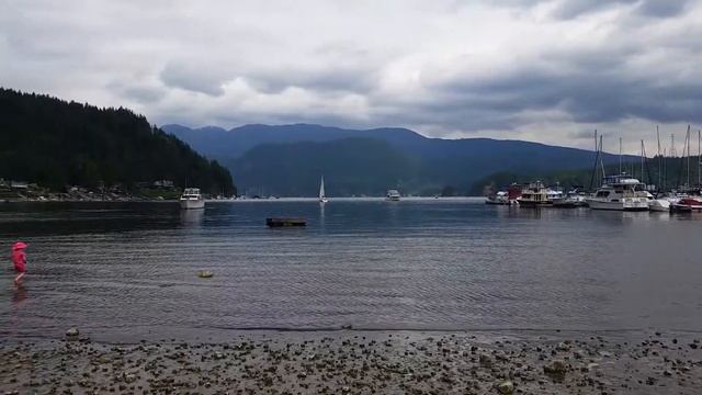 Calm Waters at Deep Cove, Great for Kayaking or Paddle Boarding, North Vancouver, BC, Canada смотреть онлайн