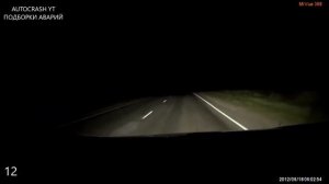 ЖИВОТНЫЕ НА ДОРОГЕ - ПОДБОРКА ДТП