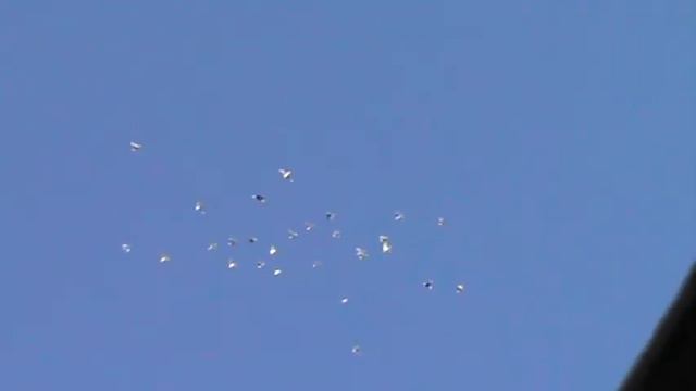 Пермяки в полете