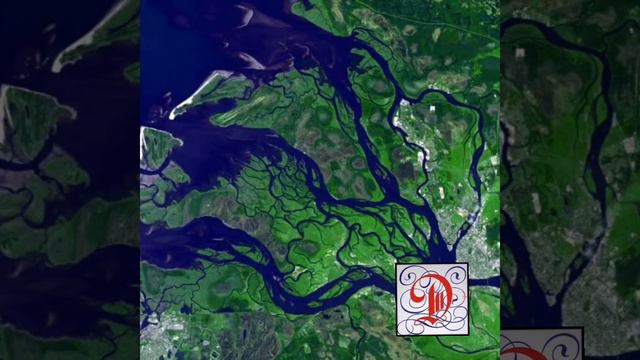 Вязьма /значение слова вязьма /всё о Вязьме смотреть онлайн