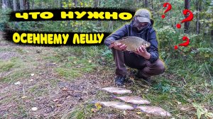 Что нужно осеннему лещу. Ловля леща на фидер