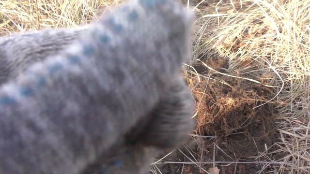 ВСЕ ТАК ЖЕ В ПОИСКЕ КЛАДА. смотреть онлайн