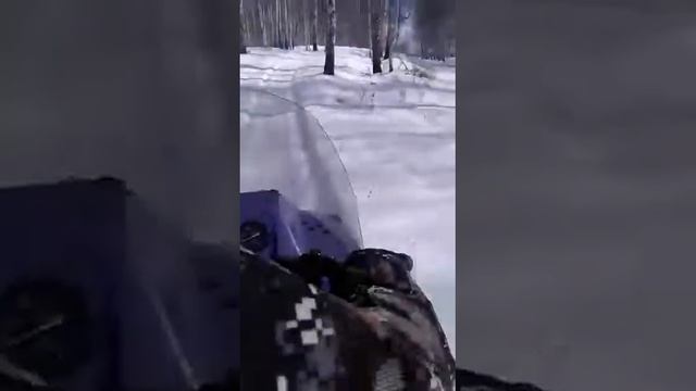 Покатушки на рыси! Карбюратор дэлорто! смотреть онлайн