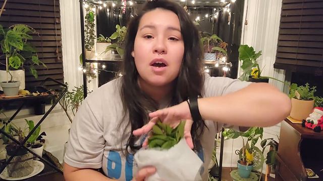 Gabriella Plants Unboxing | Another New Hoya! смотреть онлайн