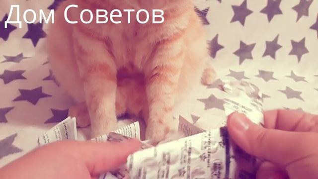 Как избавиться от Похмелья и избежать Алкогольного отравления?Поможет копеечная Янтарная Кислота! смотреть онлайн