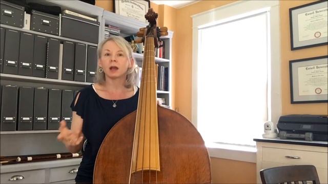 Perspectives - What Exactly is a Violone? смотреть онлайн
