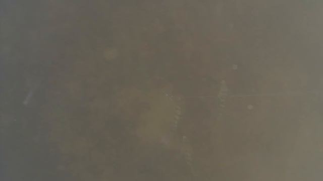 Зимняя рыбака на окуня, Астраханская обл.с.Житное 7 декабря 2014 смотреть онлайн