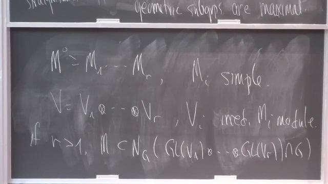 Representation theory of reductive algebraic groups-techniques and applications (Donna Testerman) 3 смотреть онлайн