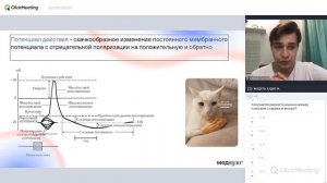 Физиология возбудимых тканей | Нормальная физиология