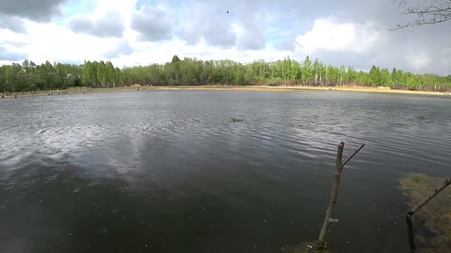 Ловля в Камышах