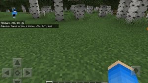 КАК ТЕЛЕПОРТИРОВАТЬСЯ В ДЕРЕВНЮ В МАЙНКРАФТЕ