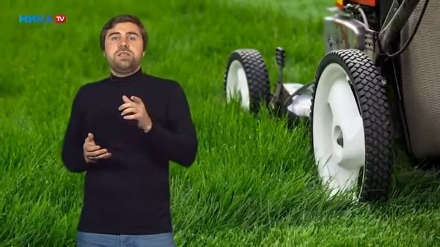 «PRO цвет» Газоны своими руками смотреть онлайн