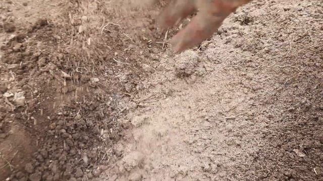 ОБЯЗАТЕЛЬНО ОСЕНЬЮ ВНЕСИТЕ ЭТО УДОБРЕНИЕ И НА СЛЕДУЮЩИЙ ГОД ОГОРОД ЗАВАЛИТ ВАС УРОЖАЕМ!!! смотреть онлайн