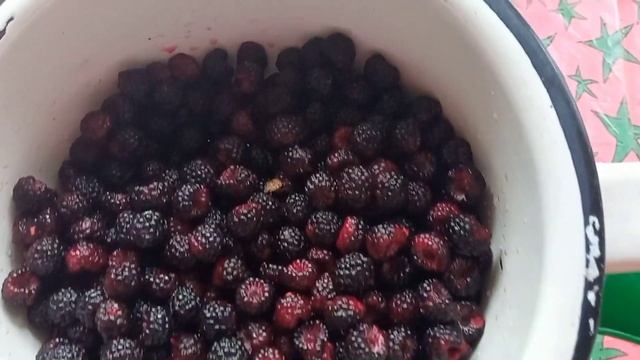 Варенье из ежевики. смотреть онлайн
