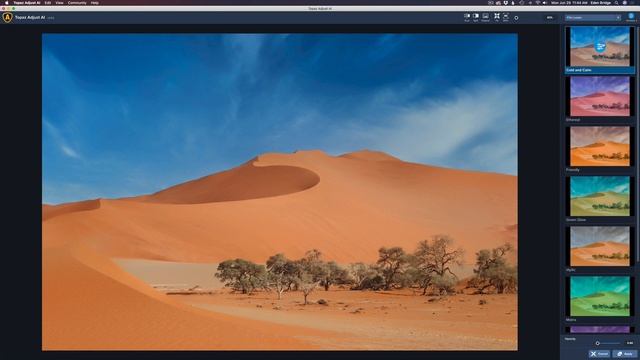 TOPAZ ADJUST AI: WORKING WITH PRE-SETS смотреть онлайн