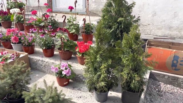 Первый день торговли. Собираем товар на рынок. смотреть онлайн