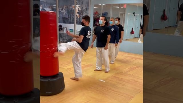 Welcome back to Rose Hill Taekwondo смотреть онлайн