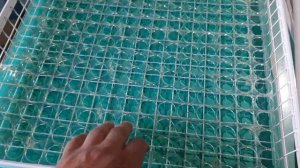 Инкубаторы Владимира Коробкова. Про ячейки.