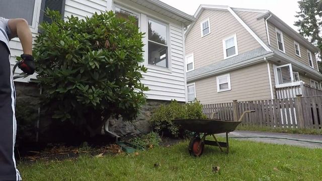 Compost Pile Harvesting, Organic Lawncare