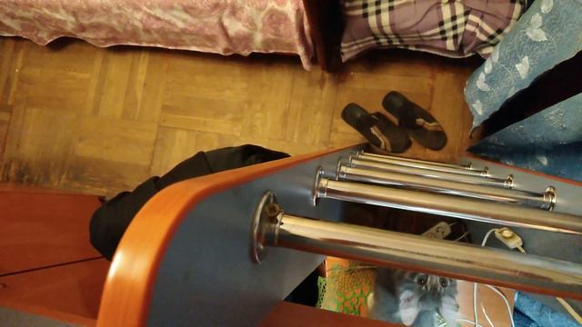 Котенок Кусь хочет наверх и мяукает смотреть онлайн