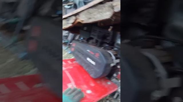 интересная ягода 2023 10февраля