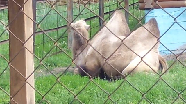 Роев Ручей 2 часть смотреть онлайн