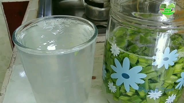 Ocho beneficios del agua de nopal para la salud impresionantes 2020 смотреть онлайн