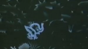 3+ Фантик (Первобытная Сказка)